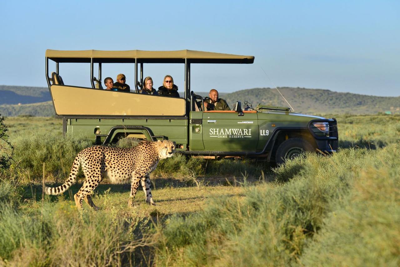 Shamwari Riverdene Paterson Luaran gambar